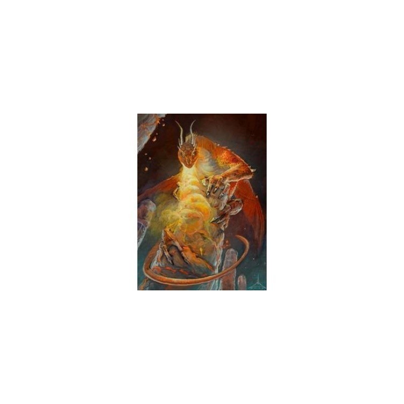 Protège-cartes illustré Wizard's Choice Picture standard - Dragon of the Lava Mountains Protège-cartes illustré Wizard's Choice Picture standard - Dragon of the Lava Mountains