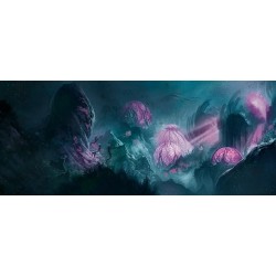 Jeux de société - Abyss