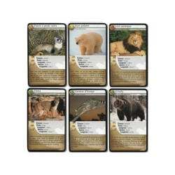Jeux de société - Défis Nature - Carnivores