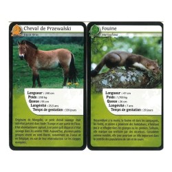 Jeux de société - Défis Nature - Europe