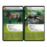 Jeux de société - Défis Nature - Europe