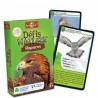 Jeux de société - Défis Nature - Rapaces // Collector