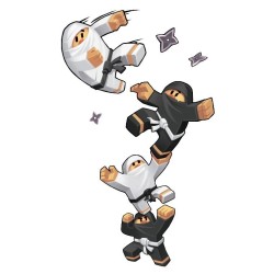 Jeux de société - Ninja Academy
