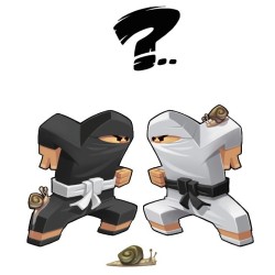 Jeux de société - Ninja Academy