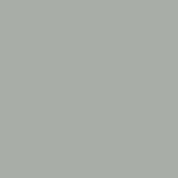Extra Opaque Gris Bleu