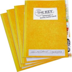 Jeux de société - The Key : Sabotages à Lucky Lama Land