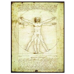 Puzzle Eurographics : L'homme de Vitruve - 1000 Pièces
