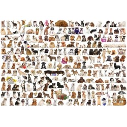 Puzzle Eurographics : Le monde des chiens - 2000 Pièces