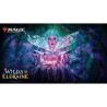 MTG - Booster Draft Anglais Magic Wilds of Eldraine