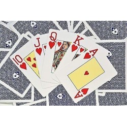 Fournier -  Poker - European Poker Tour - 100% plastique - Bleu