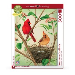 Puzzle New York Puzzle Company - Cornell Lab : Northen Cardinals - 500 Pièces