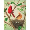 Puzzle New York Puzzle Company - Cornell Lab : Northen Cardinals - 500 Pièces