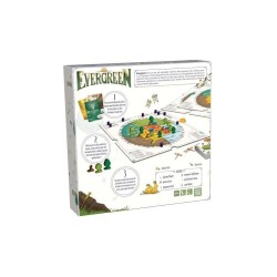 Jeux de société - Evergreen