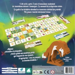 Jeux de société - Ma vie de Renard