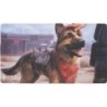 MTG : Fallout Playmat  AFallout