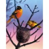 Puzzle New York Puzzle Company - Cornell Lab : Baltimore Orioles - 1000 Pièces
