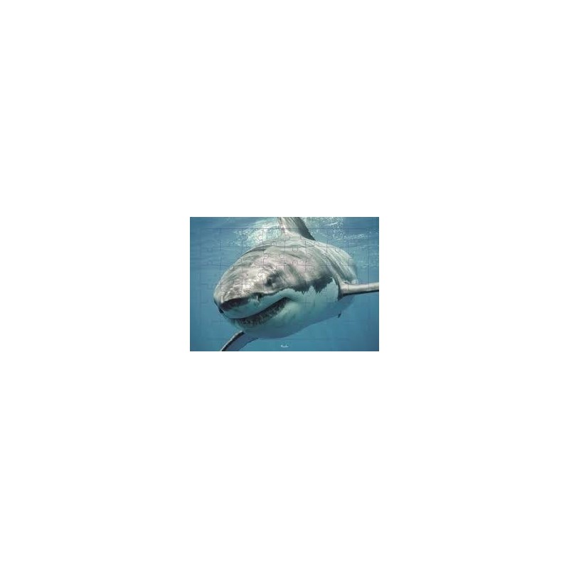 Puzzle Piccolia - Requin - 48 pièces Puzzle Piccolia - Requin - 48 pièces
