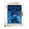 Puzzle New York Puzzle Company - Harry Potter and The Order of the Phenix - 1000 Pièces