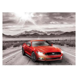 Puzzle Eurographics : Ford Mustang - 1000 Pièces
