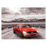 Puzzle Eurographics : Ford Mustang - 1000 Pièces