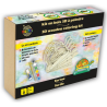 Kit en bois 3D à peindre : Tortue