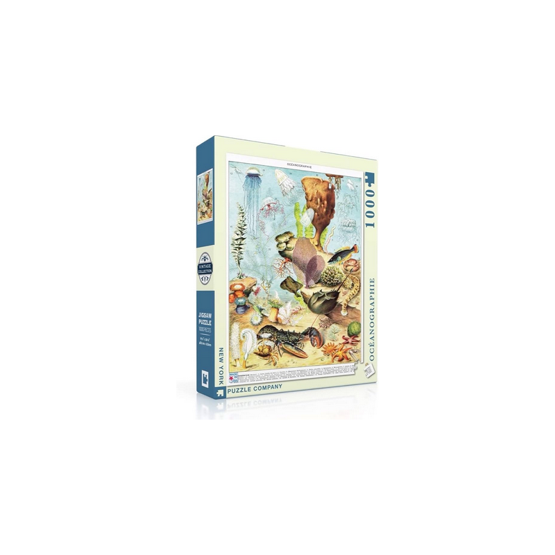 Puzzle New York Puzzle Company - Vintage Images - Océanographie - 1000 Pièces Puzzle New York Puzzle Company - Vintage Images - Océanographie - 1000 Pièces