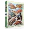 Puzzle New York Puzzle Company -  Vintage Collection - Turtles - 1000 Pièces