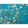 Puzzle Eurographics Fine Art Collection - Vincent Van Gogh : Amandier en Fleur - 1000 Pièces