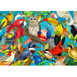 Puzzle Enjoy Puzzle : Feathered Frenzy - 1000 Pièces