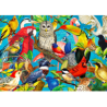 Puzzle Enjoy Puzzle : Feathered Frenzy - 1000 Pièces