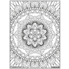 Ludocolor : Tableau velours - Le Mandala Floral