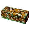 Pokémon : Long Card Box : Motif Évoli