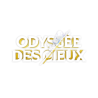 Altered : L’Odyssée des Cieux - Boite Complète