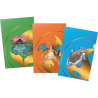 Ultra Pro - Pack de 3 Portfolios de tournoi - Pokémon : Florizarre, Dracaufeu et Tortank