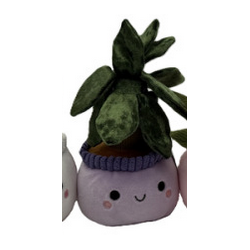 Peluche - Small Plante Pots : 10/14cm