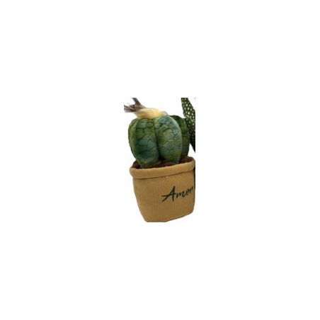 Medium Plante Pots : 15/20cm