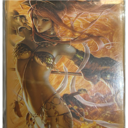 Protège - cartes - 50 Sleeves Standard - HCD Game Supplies