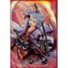 Protège-cartes illustré max protection samurai kid standard