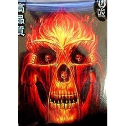 Protège-cartes illustré max protection flaming altar standard