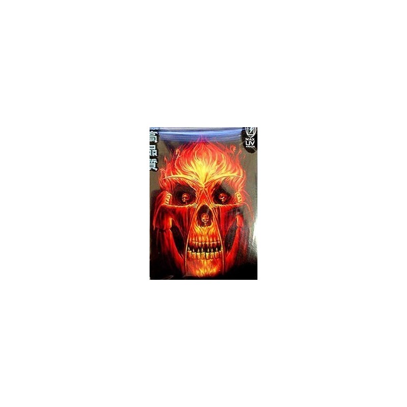 Protège-cartes illustré max protection flaming altar standard Protège-cartes illustré max protection flaming altar standard