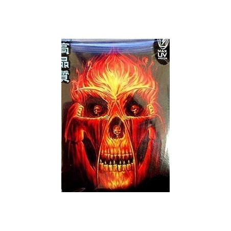 Protège-cartes illustré max protection flaming altar standard