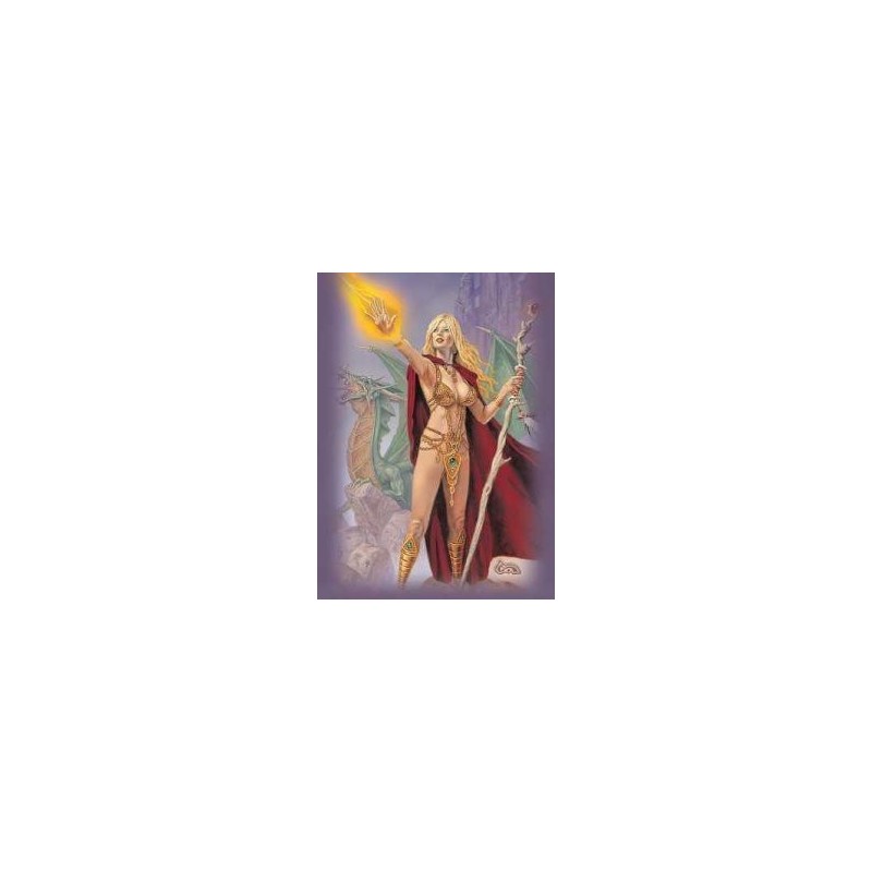 Protège-cartes caldwell - sorceress standard