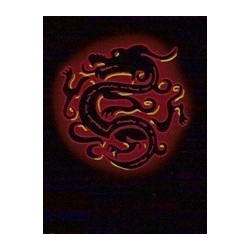 Protège-cartes illustré max protection china dragon red standard