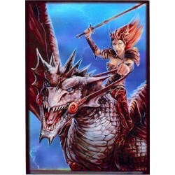 Protège-cartes illustré max protection dragon rider standard