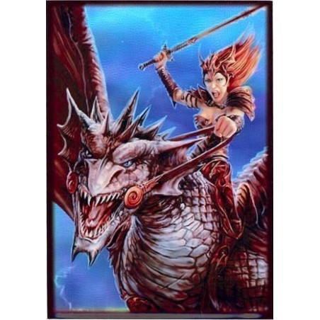 Protège-cartes illustré max protection dragon rider standard